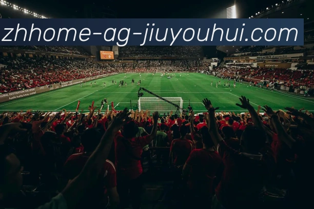 多媒体互动体验